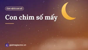 Các loài chim bồ câu, hạc, công, đại bàng, minh hoạ con chim số mấy trong sổ mơ