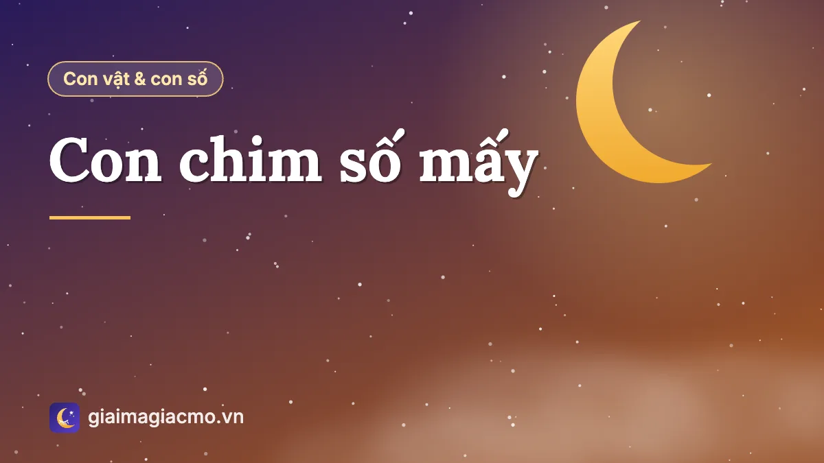Các loài chim bồ câu, hạc, công, đại bàng, minh hoạ con chim số mấy trong sổ mơ