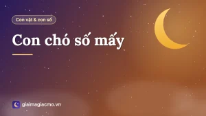 Minh hoạ con chó và con số 11 trong bảng 40 con vật