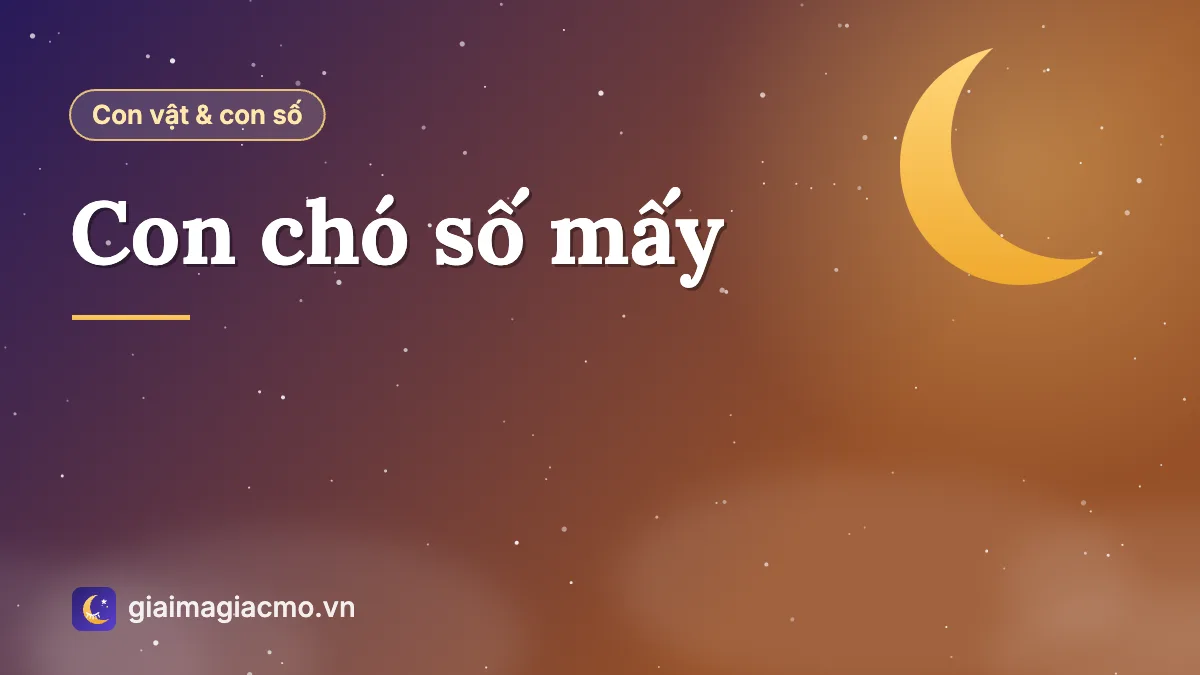 Minh hoạ con chó và con số 11 trong bảng 40 con vật