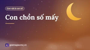 Minh hoạ con chồn hương đứng trong bụi cỏ kèm con số theo sổ mơ