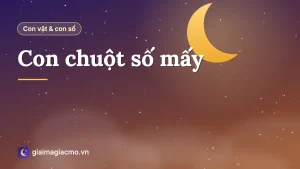 Minh hoạ con chuột và con số 15 trong bảng 40 con vật