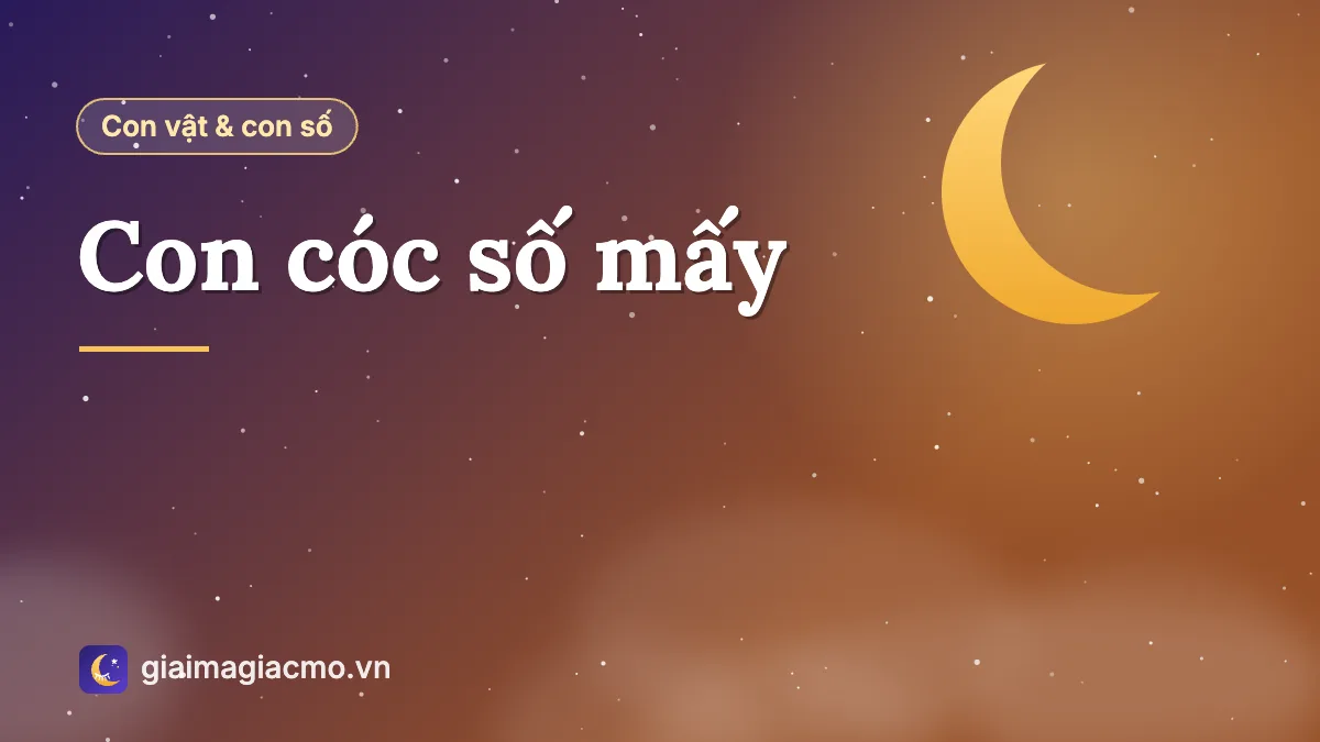 Con cóc ngồi trên nền đất ẩm, minh hoạ bài con cóc số mấy theo sổ mơ