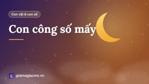 Minh hoạ chim công xòe đuôi kèm con số 04 theo sổ mơ dân gian