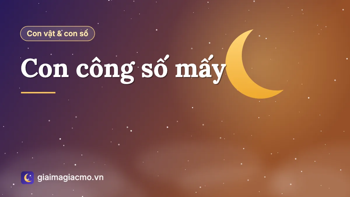 Minh hoạ chim công xòe đuôi kèm con số 04 theo sổ mơ dân gian