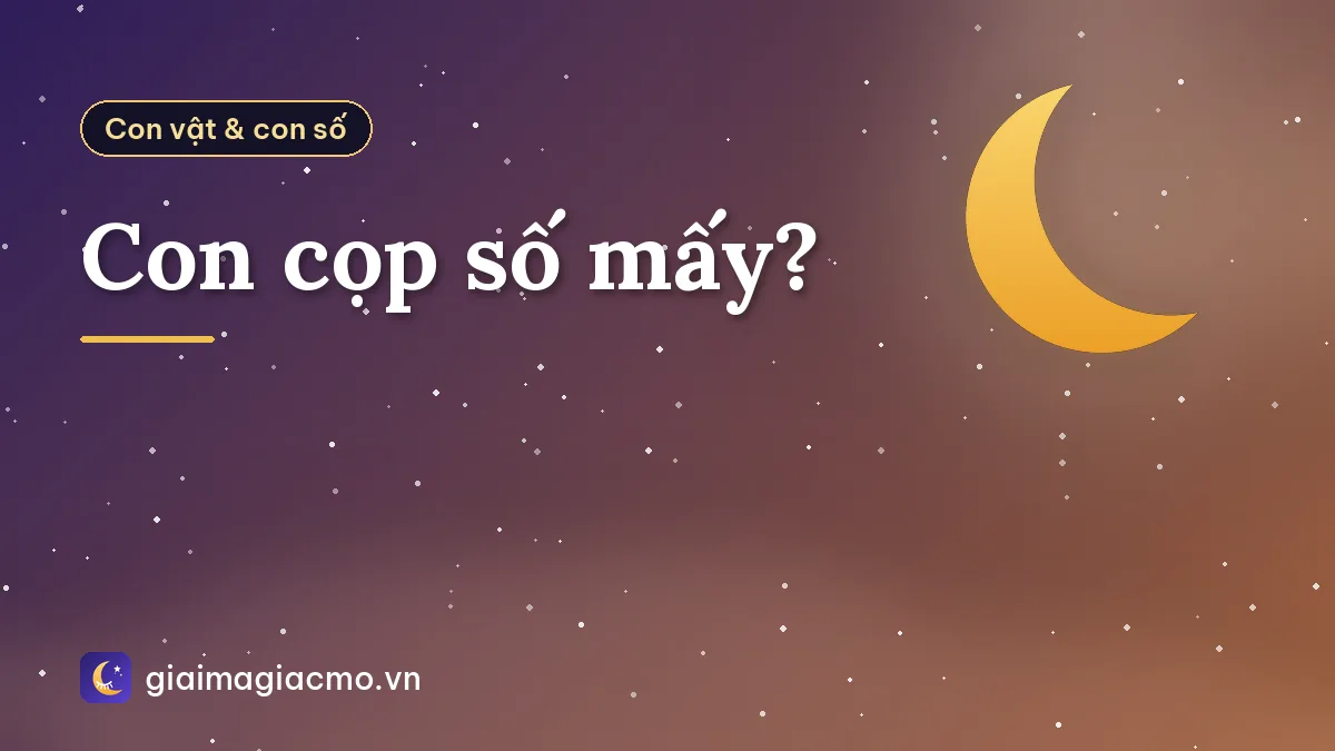 Con cọp số mấy?