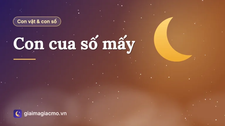 Con cua số mấy? Ý nghĩa con cua theo loại, màu sắc và giấc mơ