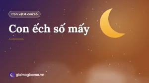 Con ếch xanh ngồi trên lá sen, minh hoạ bài con ếch số mấy