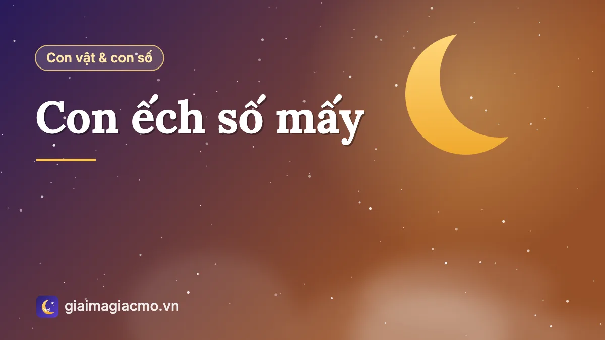 Con ếch xanh ngồi trên lá sen, minh hoạ bài con ếch số mấy