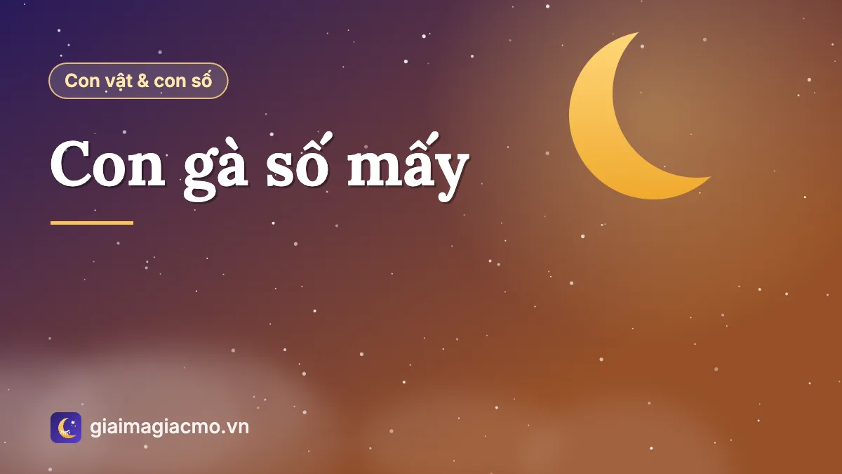 Minh hoạ gà trống và gà mái trong sân nhà kèm con số 28 theo sổ mơ