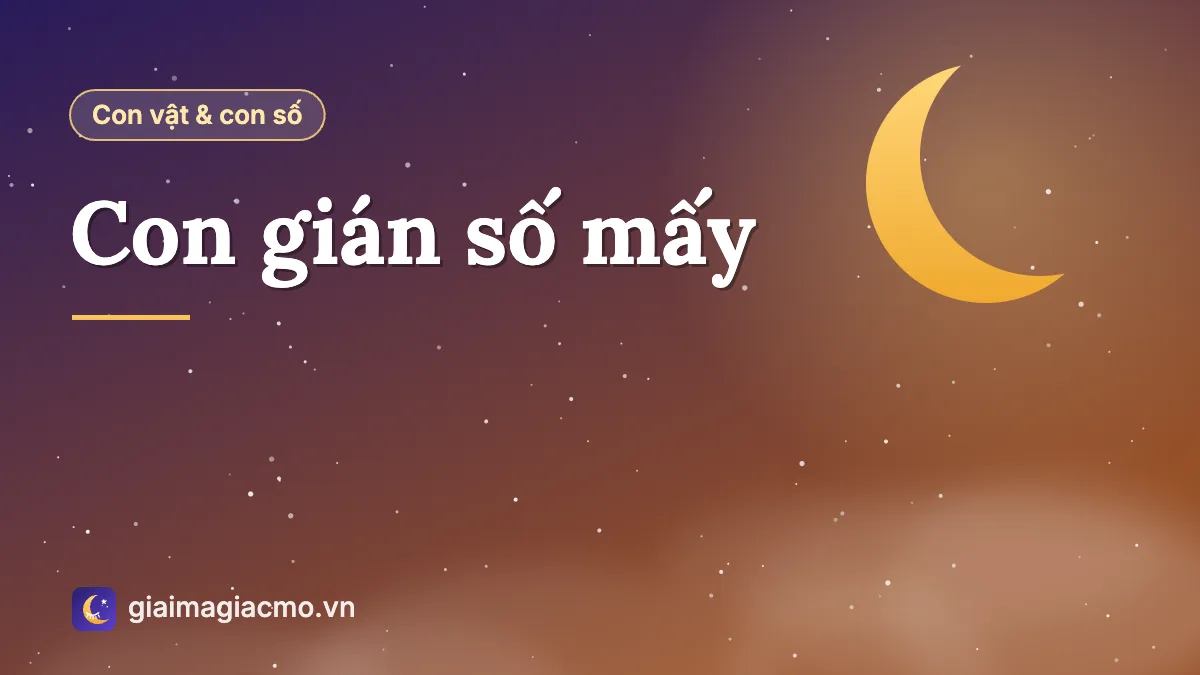 Minh hoạ con gián và con số theo sổ mơ dân gian
