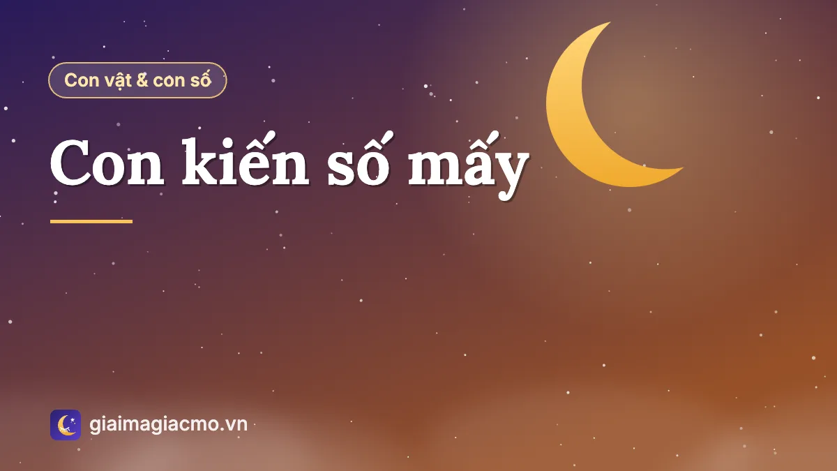 Minh hoạ đàn kiến tha mồi trên cành cây kèm con số theo sổ mơ