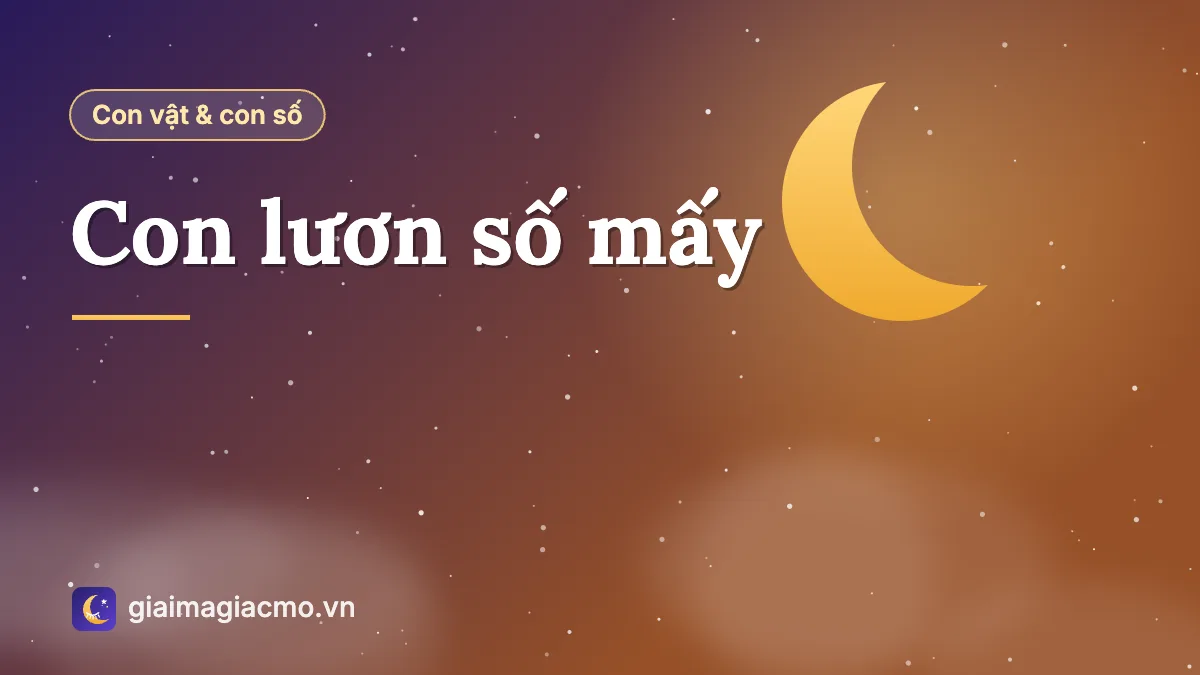 Minh hoạ con lươn đồng và cặp số 29 – 69 theo sổ mơ