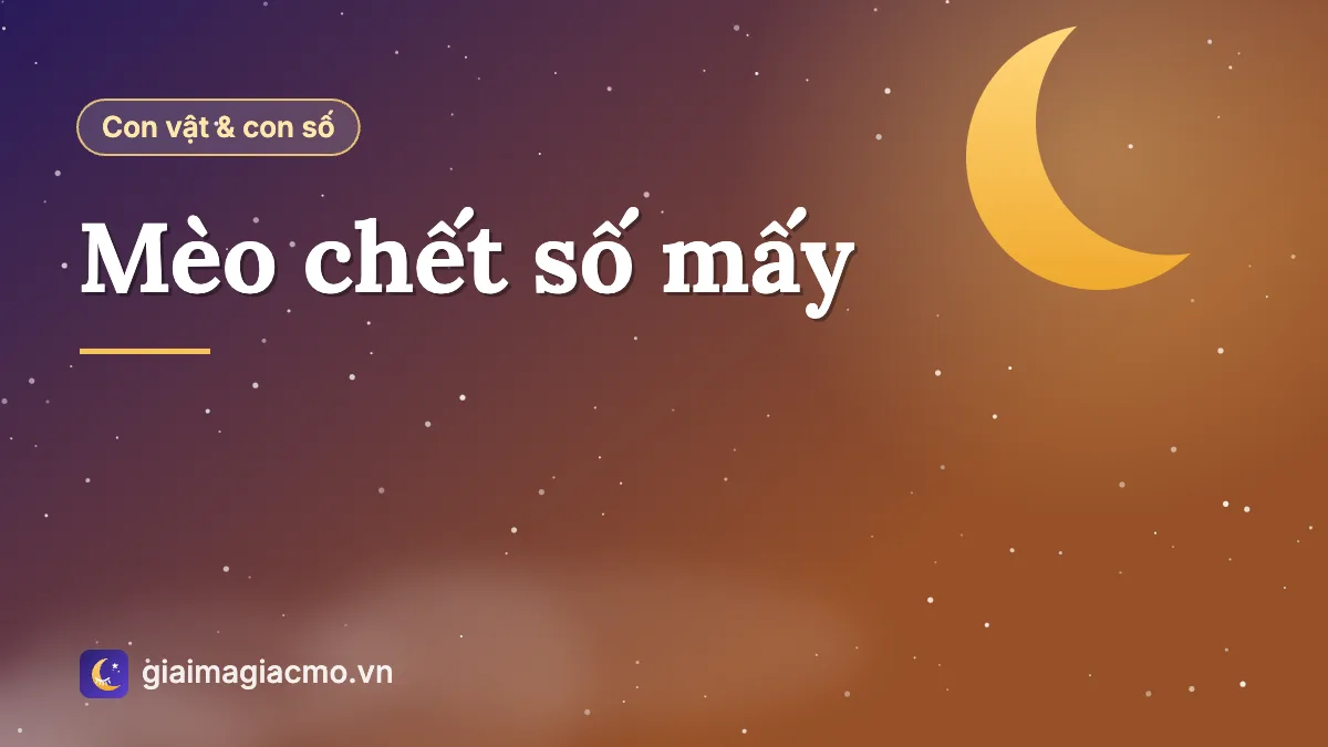 Minh hoạ con mèo nằm yên trên tấm chăn, giải nghĩa điềm mèo chết theo dân gian