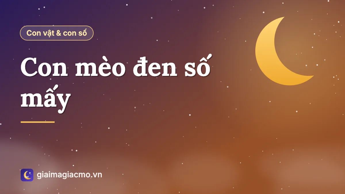 Minh hoạ con mèo đen ngồi trước cửa nhà và con số theo sổ mơ