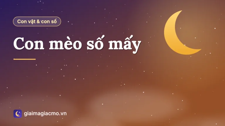 Con mèo số mấy? Giải thích mèo nhà, mèo rừng và mèo theo màu lông