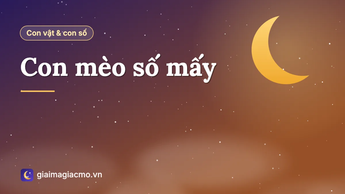Minh hoạ con mèo vàng và con số 14 trong bảng 40 con vật