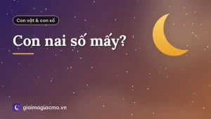 Con nai số mấy?