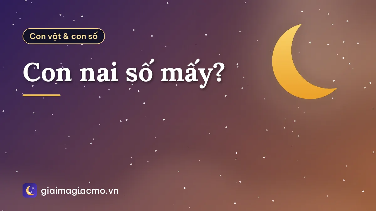 Con nai số mấy?