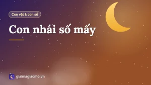 Minh hoạ con nhái nhỏ trên lá sen bên bờ ruộng sau mưa