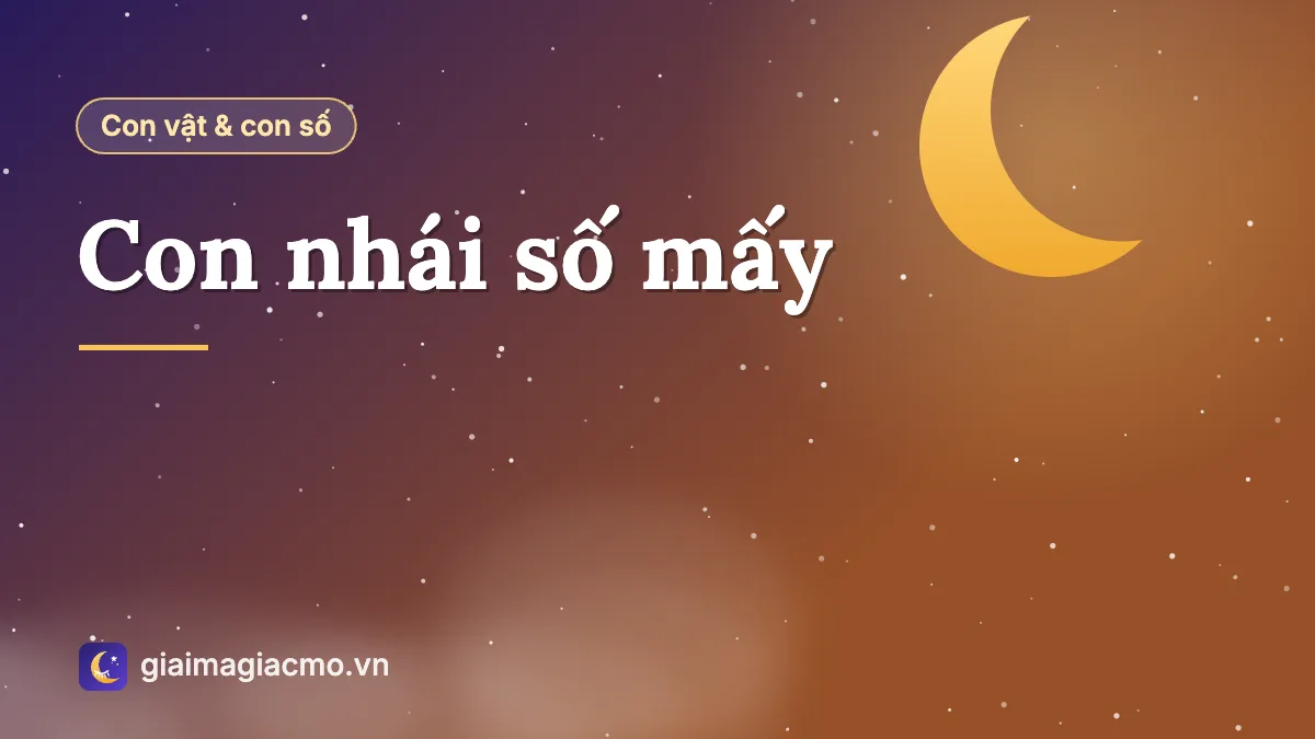 Minh hoạ con nhái nhỏ trên lá sen bên bờ ruộng sau mưa