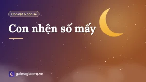 Con nhện giăng tơ trong nhà, minh hoạ con nhện số 33 trong bảng 40 con vật