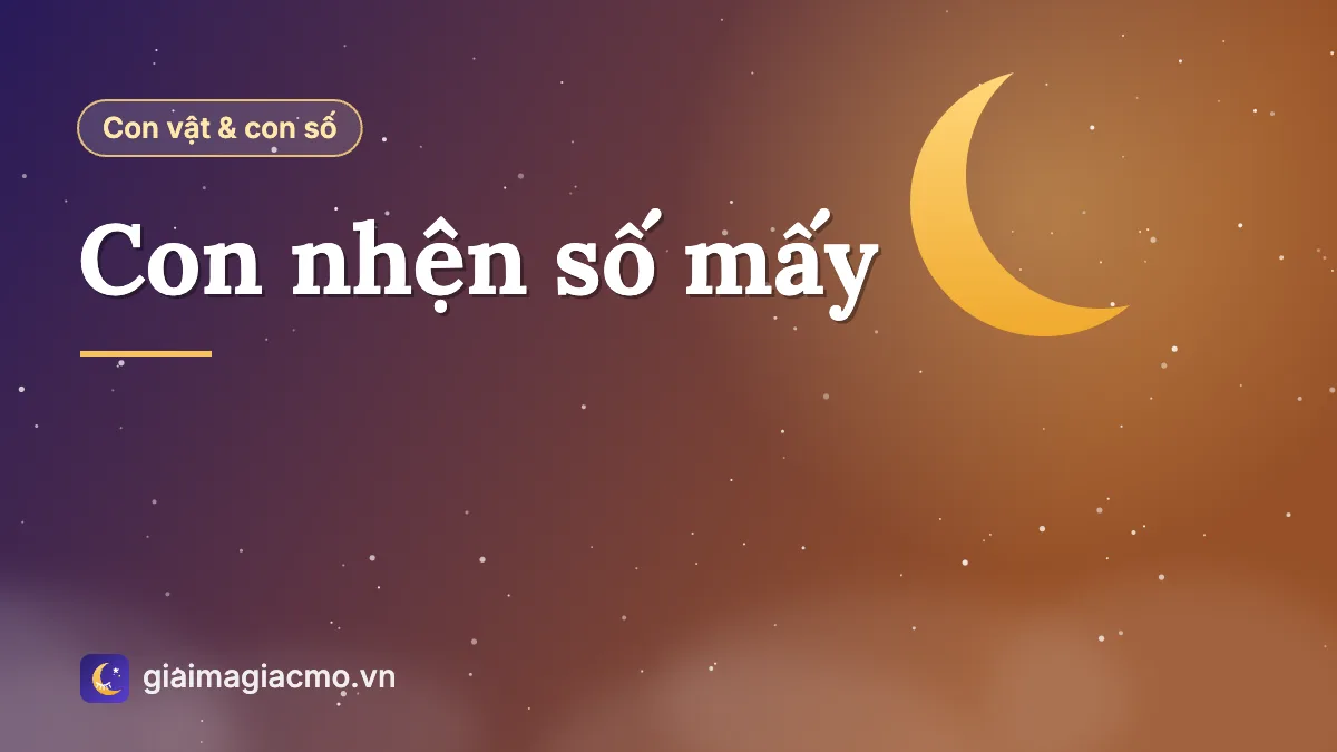 Con nhện giăng tơ trong nhà, minh hoạ con nhện số 33 trong bảng 40 con vật