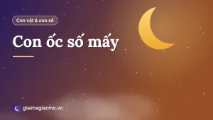 Minh hoạ các loại ốc và con số theo bảng 40 con vật