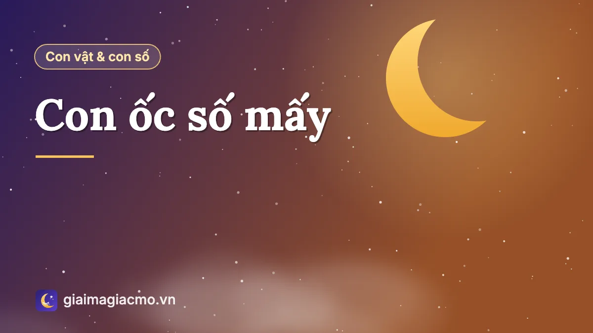 Minh hoạ các loại ốc và con số theo bảng 40 con vật