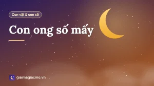 Con ong mật đậu trên bông hoa, minh hoạ con ong số 16 trong bảng 40 con vật