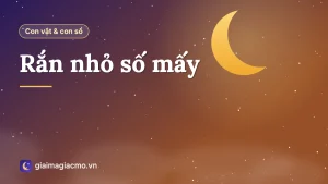 Con rắn nhỏ trên nền đất ẩm trong vườn