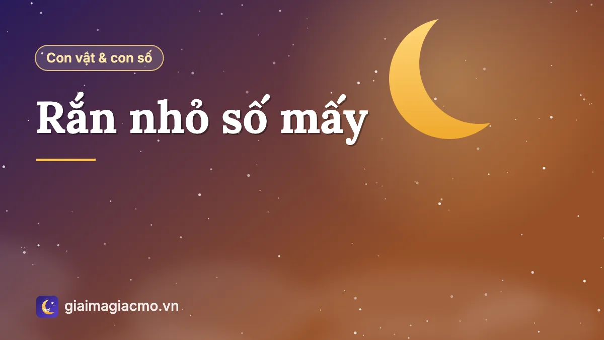 Con rắn nhỏ trên nền đất ẩm trong vườn