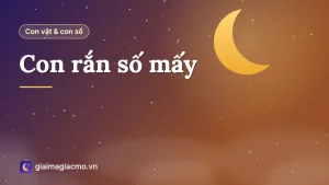 Con rắn trong bảng 40 con vật dân gian ứng với số 32 và 72