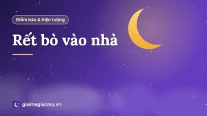 Minh hoạ con rết bò trên nền gạch gần cửa nhà tắm