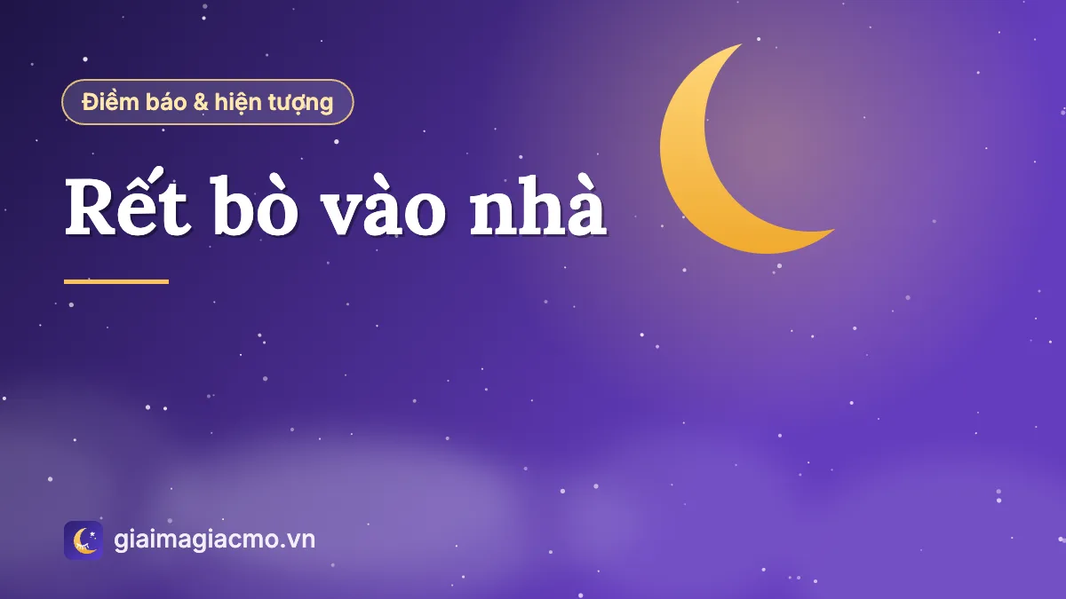 Minh hoạ con rết bò trên nền gạch gần cửa nhà tắm