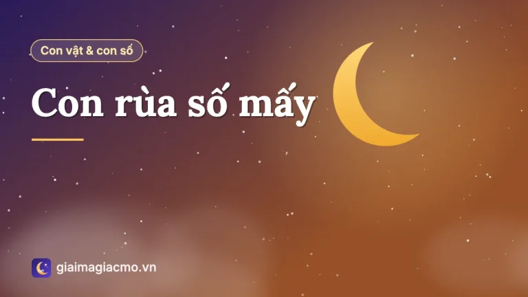 Con rùa số mấy? Ý nghĩa con rùa trong văn hoá, điềm báo và sổ mơ Việt