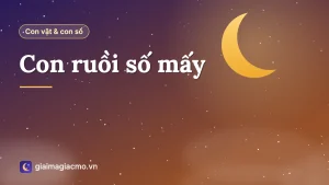 Minh hoạ con ruồi đậu trên bàn gỗ trong nhà theo sổ mơ dân gian