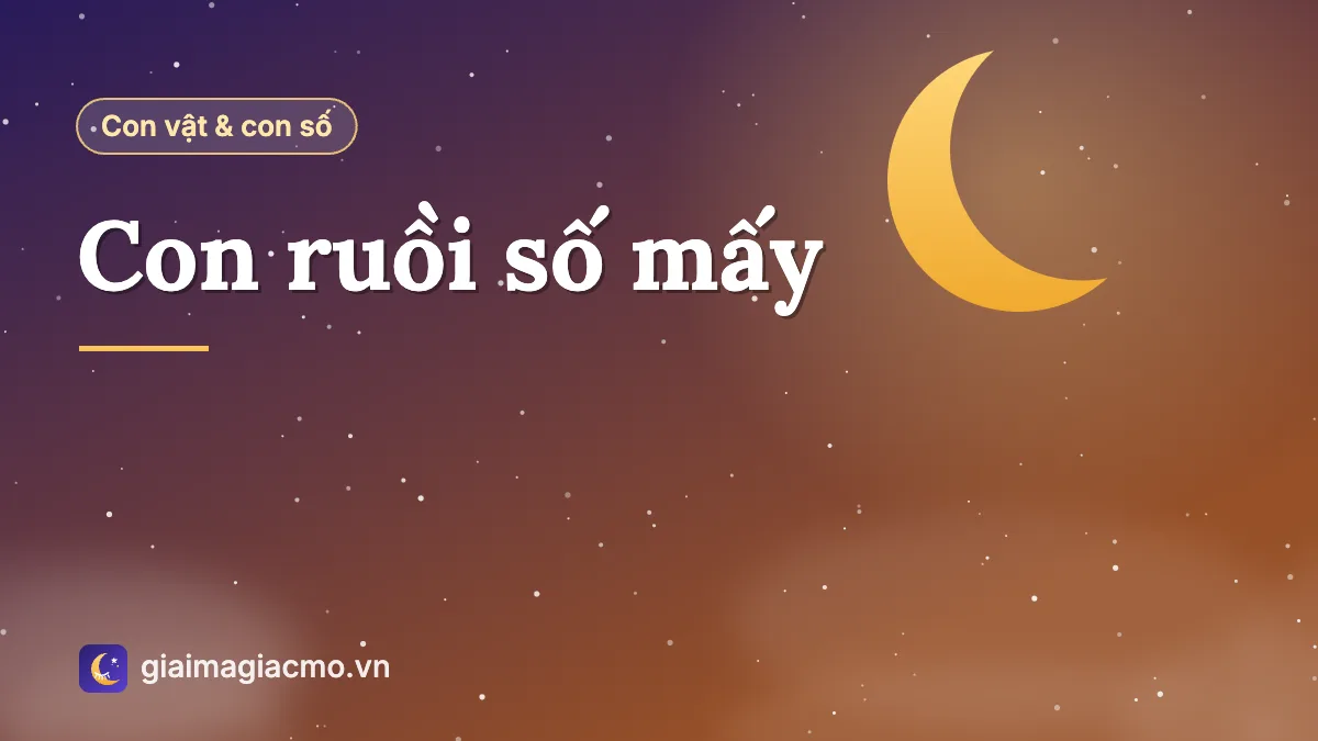 Minh hoạ con ruồi đậu trên bàn gỗ trong nhà theo sổ mơ dân gian