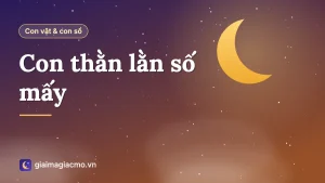 Minh hoạ con thằn lằn bò trên tường nhà gần bóng đèn