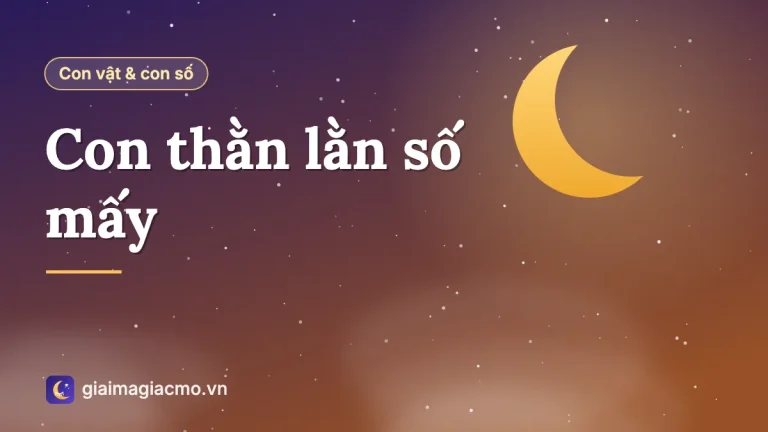Con thằn lằn số mấy? Con số và các điềm báo khi gặp thằn lằn