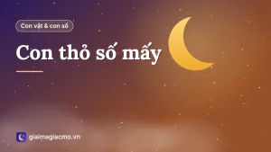 Minh hoạ con thỏ số mấy theo sổ mơ dân gian