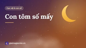 Minh hoạ con tôm và cặp số 31 – 71 theo sổ mơ dân gian