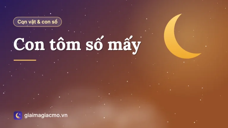 Con tôm số mấy? Ý nghĩa con tôm và các con số liên quan