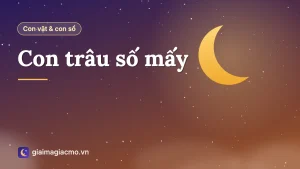 Minh hoạ con trâu đen trên đồng ruộng và con số 09 trong sổ mơ