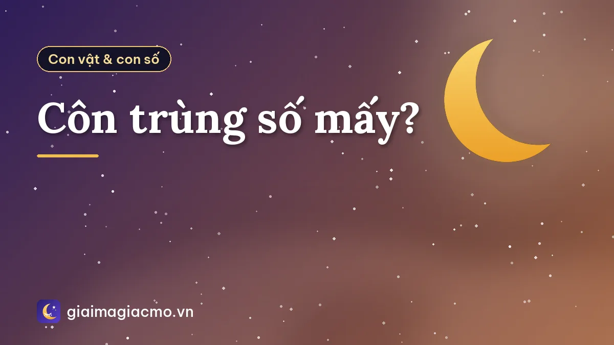 Côn trùng số mấy?