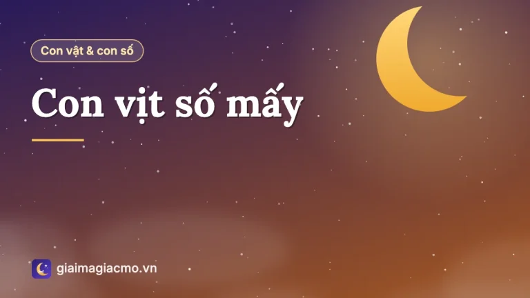 Con vịt số mấy? Ý nghĩa con vịt trong đời sống và sổ mơ người Việt