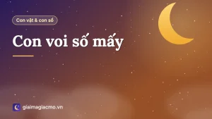 Minh hoạ con voi và voi con kèm con số 13 theo bảng 40 con vật