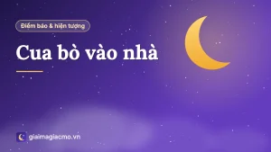 Minh hoạ con cua bò vào nhà và ý nghĩa điềm báo dân gian