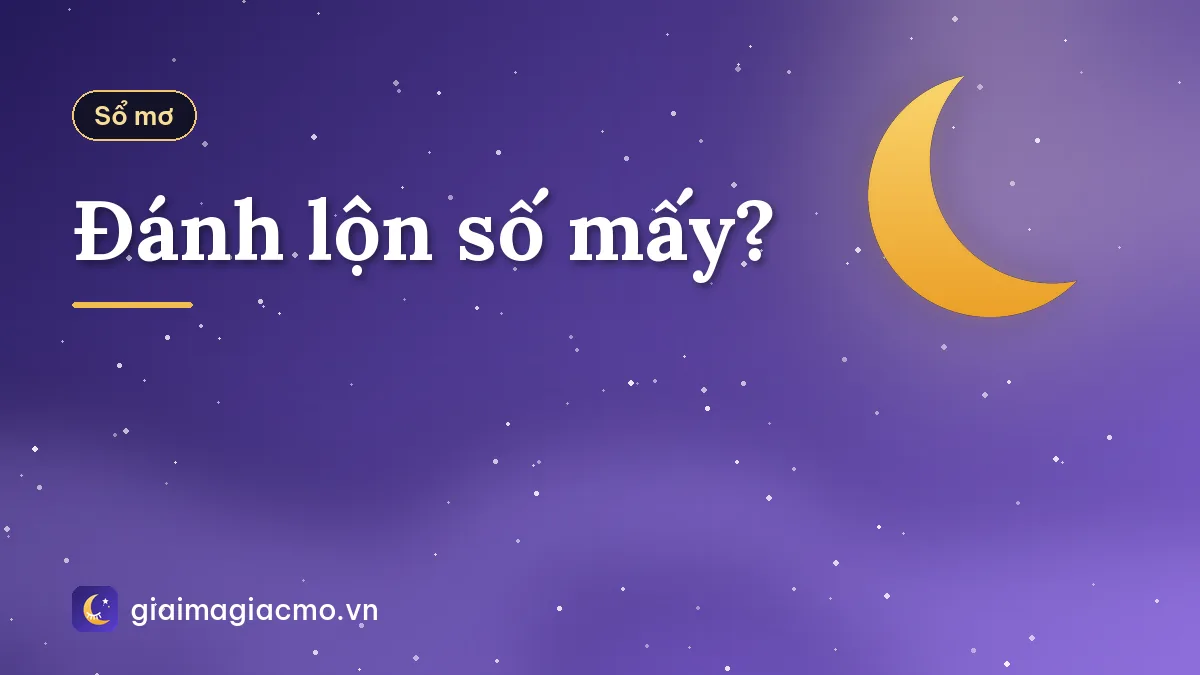 Đánh lộn số mấy?