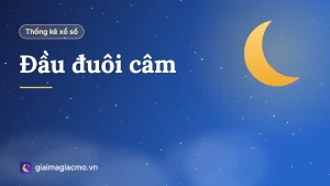 Minh hoạ bảng số liệu Đầu đuôi câm tổng hợp từ kết quả xổ số đã công bố